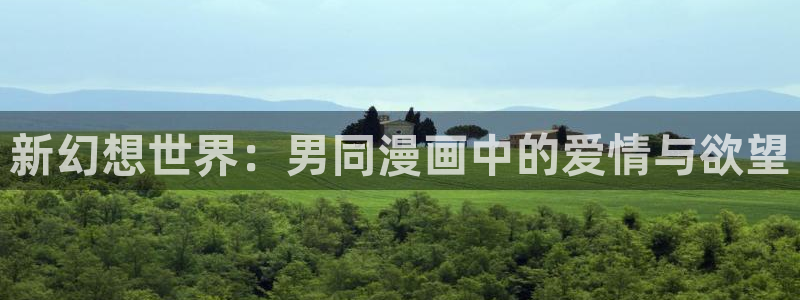 喵上二次元漫画：新幻想世界：男同漫画中的爱情与欲望